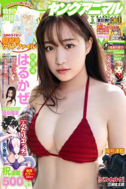 破产姐妹